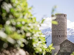 Torre Fröhlich